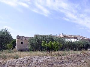 Casa y Olivos 