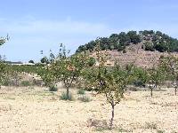 Almendros