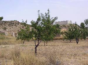 Cultivo Entre Caseros 