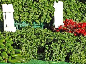 Berros y otras verduras en el mercado [Berro -Archivo]