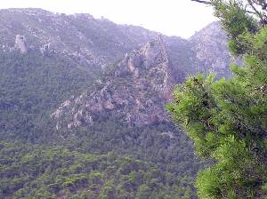 Sierra de Ricote [Las Lomas]