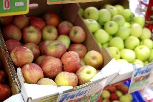 Diferentes variedades de manzanas en la plaza 