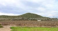 Foto 7: Panormica del volcn  de lamproitas de la Aljorra (Cartagena)