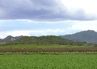 Foto 3: Panormica del volcn de La Cebolla (Cartagena)