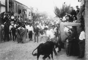 Toros en la calle 