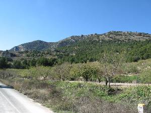 Panormica de la cuerda de La Selva, que pertenece a la sierra de Pedro Ponce