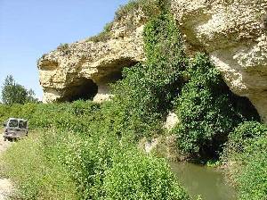 Detalle de estas areniscas bioturbadas por organismos que vivan hace unos 10 Ma. en zonas costeras. Hoy la erosin, la vegetacin y el agua del ro Quipar escupen la Gea de este bello lugar