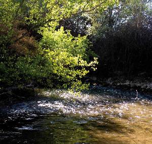 El agua es un bien escaso en nuestra Regin