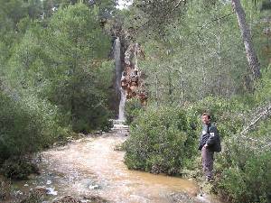 Son muchas las reas en las que se puede disfrutar de la naturaleza