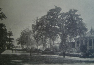 Aspecto del Jard�n de Floridablanca donde se realiz� el banquete de despedida