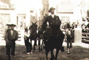 Toros en Blanca