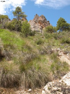 Sierra de Villafuerte