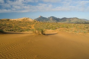 Duna fsil de Calblanque