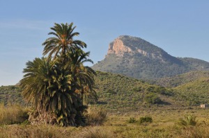 Al fondo, vista general del Cabezo de la Fuente