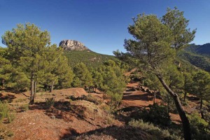 Morr�n de Espu�a desde el collado de las Yeseras