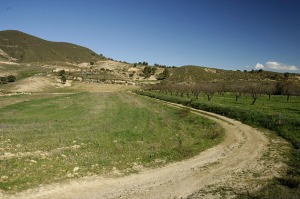 Paraje de El Puntarrn (Sangonera la Seca)  - Juan de la Cruz