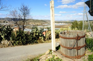 Campillo de los Jimnez 