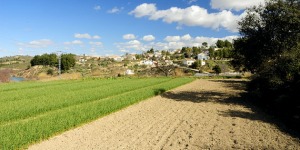 Panormica de El Cabezo y su huerta  - Juan de la Cruz