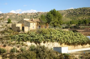 Casa solariega  - Juan de la Cruz