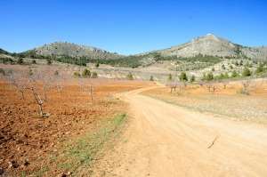 Burete  - Juan de la Cruz