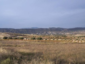 La conectividad entre los lugares protegidos multiplica la conservacin de los mismos