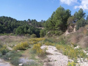 Corredor Ecolgico entre espacios de la Red Natura 2000