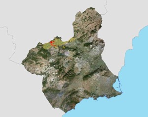 Zona del incendio (amarillo) y zona donde se ha llevado a cabo el proyecto REPLANT (rojo)