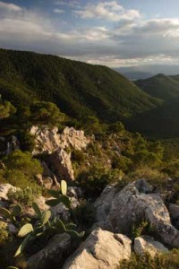 Vista del Valle de Ricote