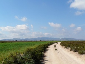 Saladares del Guadalentn