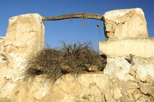 Las Caadas (Alhama) 