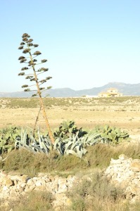 Las Caadas (Alhama) 