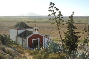 Las Caadas (Alhama) 