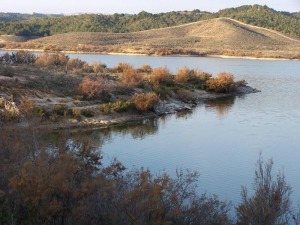 Embalse de Santomera