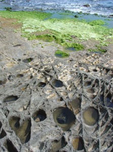 Detalle de la plataforma de abrasin. Obsrvese el sistema de diaclasas que afecta a las riodacitas y el desarrollo de pilancones por procesos de meteorizacin fsica y qumica