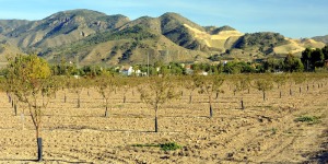 La Costera  - Juan de la Cruz