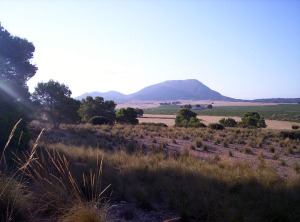 Yacimiento de Montesinos (Jumilla)