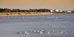 Salinas de San Pedro 