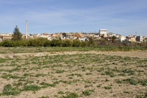 Torre del Junco 