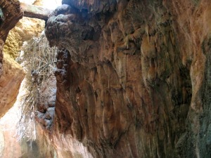 Los tipos de espeleotemas son muy variados. Un libro abierto para explicar estos procesos de karstificacin, de la formacin de las cuevas subterrneas 