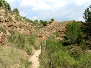 La cabecera de la Agualeja atraviesa las rocas que se depositaron en el delta de la antigua rambla que vena de Sierra Espua hace unos siete millones de aos 