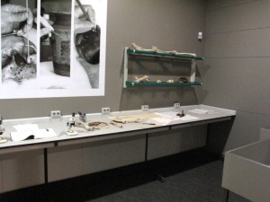 Laboratorio de restauraci�n 