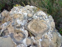 Calcedonia recubriendo y cementando piroclastos de lamproitas de Zeneta (Murcia) 