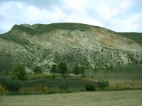 El palo es un constituyente importante de rocas como diatomitas, radiolarias, slex. En la imagen diatomitas del entorno de pantano del Cenajo 