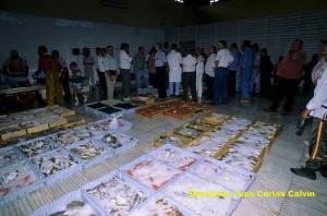 Figura 5. Subasta de pescado en la lonja de guilas