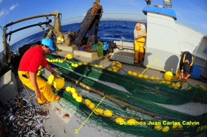 Figura 4. Todava con el copo en la cubierta del barco, se puede observar perfectamente la relinga superior con los flotadores (1) y la inferior con la cadena de lastre (2) - Juan Carlos Calvn