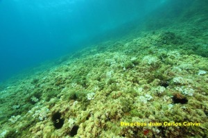 Figura 6. El paisaje roca iluminada en la isla Cueva de Lobos, teniendo el mismo aspecto en todo el tramo