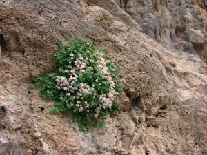 Letur (Albacete)