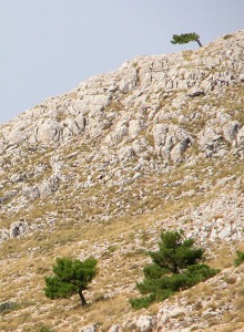 Sierra de Taibilla