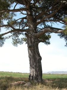 Sierra de Villafuerte