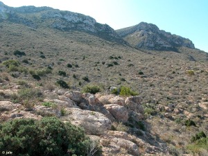 Microrreserva propuesta Sabinar de Cabo Cope (AGUIL-02)